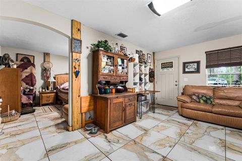 Tiny photo for Fishermans Road, Paisley, FL 32767 (MLS # O6297079)