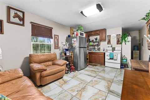 Tiny photo for Fishermans Road, Paisley, FL 32767 (MLS # O6297079)