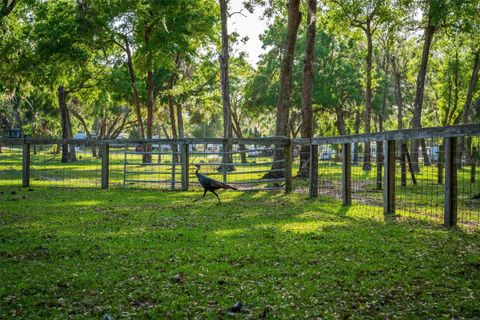 Tiny photo for Fishermans Road, Paisley, FL 32767 (MLS # O6297079)