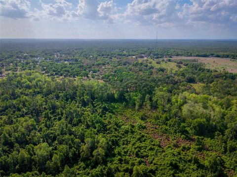 Tiny photo for Fishermans Road, Paisley, FL 32767 (MLS # O6297079)