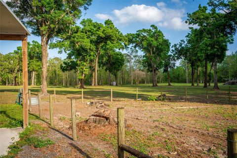 Tiny photo for Fishermans Road, Paisley, FL 32767 (MLS # O6297079)