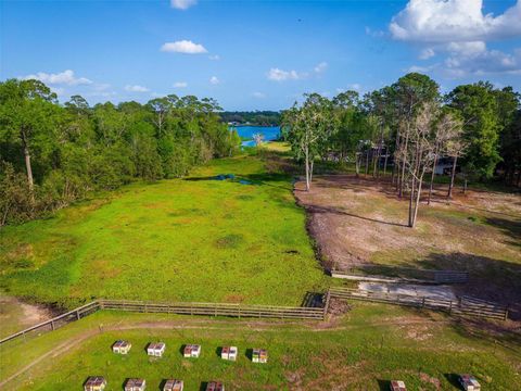 Tiny photo for Fishermans Road, Paisley, FL 32767 (MLS # O6297079)