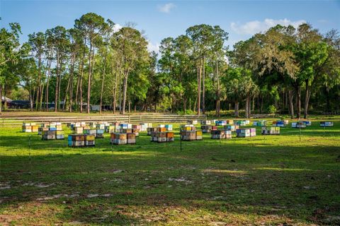 Tiny photo for Fishermans Road, Paisley, FL 32767 (MLS # O6297079)