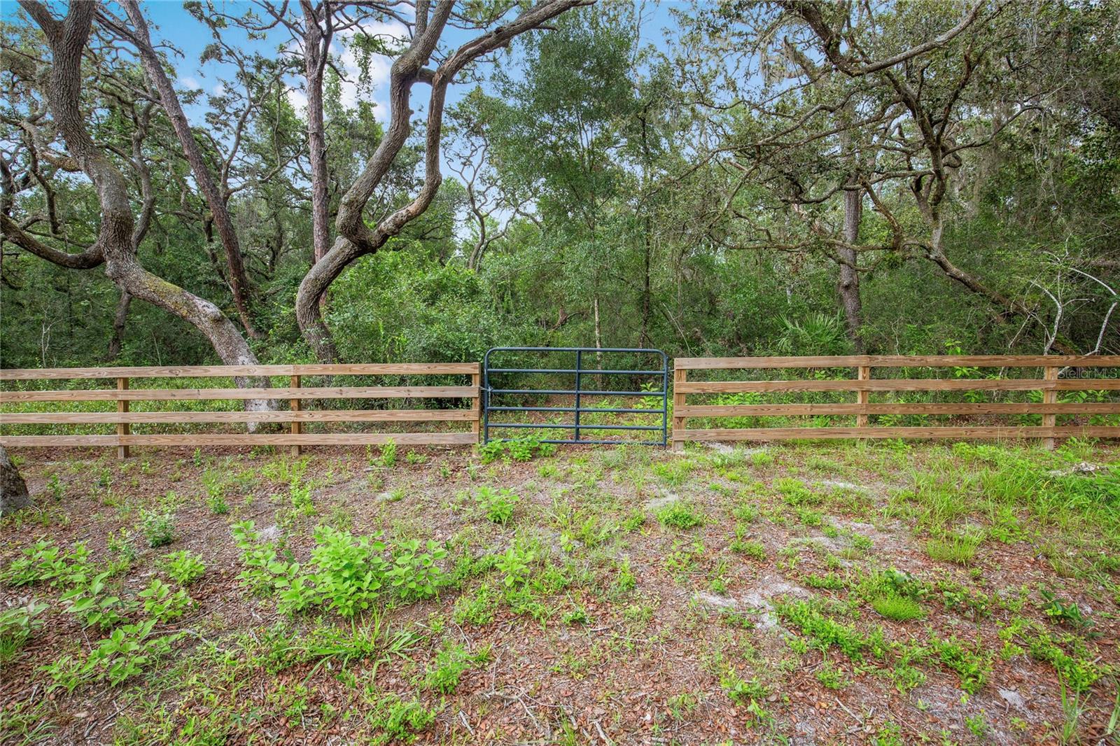 SUNCOAST HIGHLANDS - Land