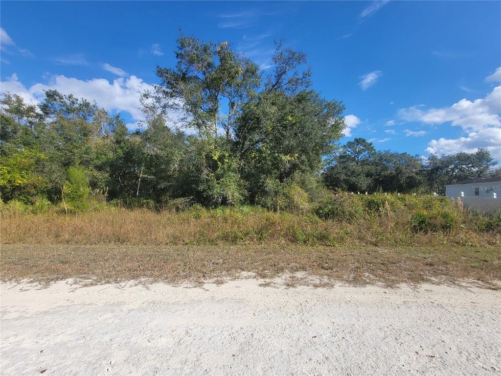 Photo of 9460 Rousseau Street, Webster, FL 33597 (MLS # TB8446413)