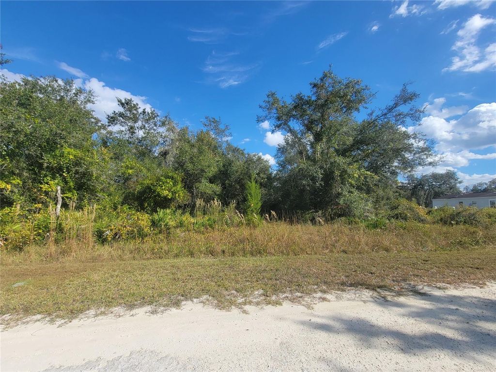 Photo of 9460 Rousseau Street, Webster, FL 33597 (MLS # TB8446413)