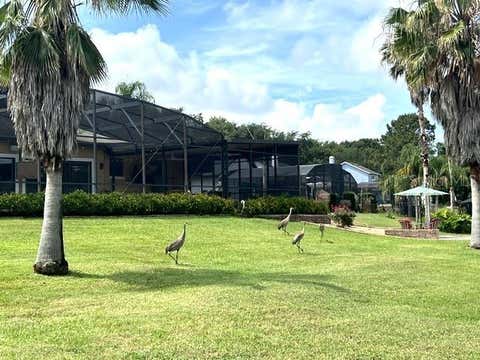 Tiny photo for 11325 Preston Cove Road, Clermont, FL 34711 (MLS # G5111586)