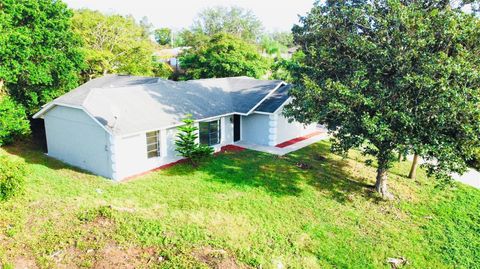 A home in DELTONA