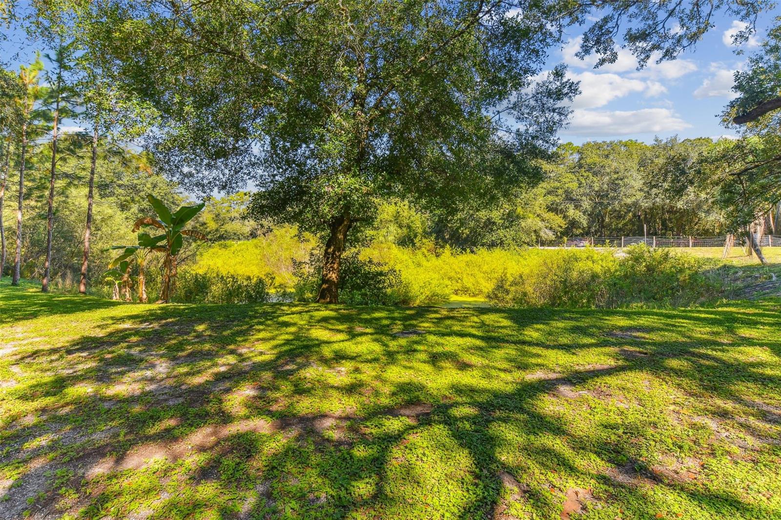 HAMNERS W E WONDERLAND ACRES - Residential