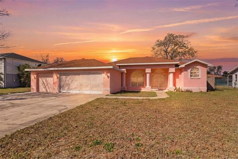 Photo of 8378 Maltby Road, Spring Hill, FL 34606 (MLS # W7883703)