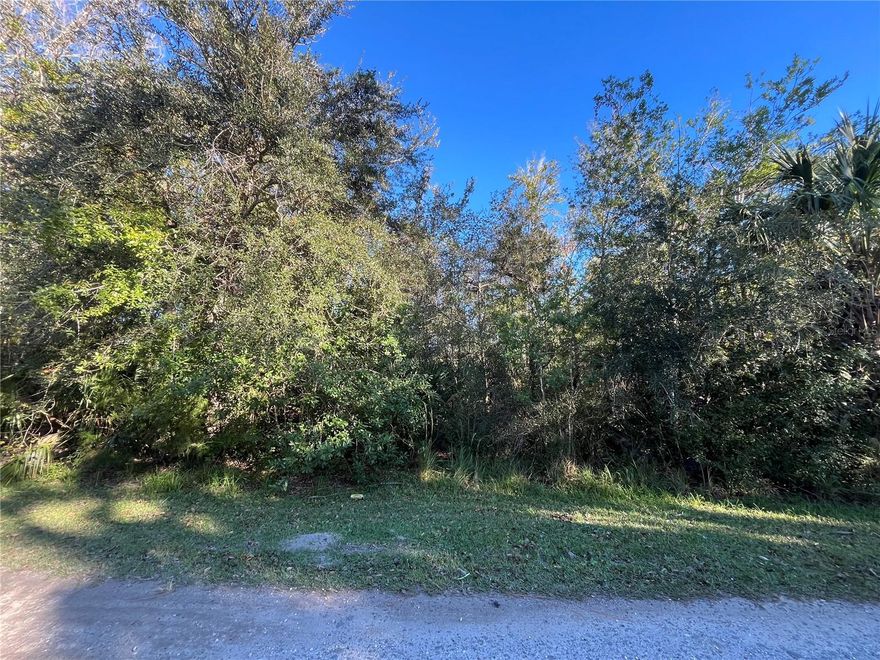 OWNER FINANCING CONSIDERED! Build or bring your dream home to this 2.92 ACRE lot in desirable Homosassa, FL. This is an area that will allow a mobile home or a site-built home. No HOA or deed restrictions. This location is just minutes to get to all the nearest shops or restaurants in town and just a short drive to the Suncoast Parkway to be in the big cities like Tampa or St. Pete!! If you love being near the water, then this is the perfect lot for you. It is a short drive to the Homosassa Springs, Crystal River, and the Gulf. This property won't last long! Call today to make it your own. This lot is listed below market value. Buying Land in Florida is a solid investment for your future, build your dream home, vacation home, rental investment or let the land build value as a great long-term investment to resell for a future profit.