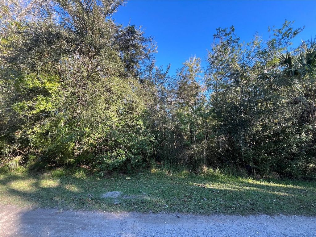Photo of 9667 S Lotus Point, Homosassa, FL 34448 (MLS # OK225683)