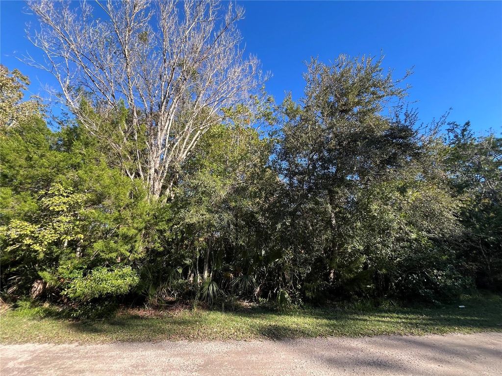 Photo of 9667 S Lotus Point, Homosassa, FL 34448 (MLS # OK225683)