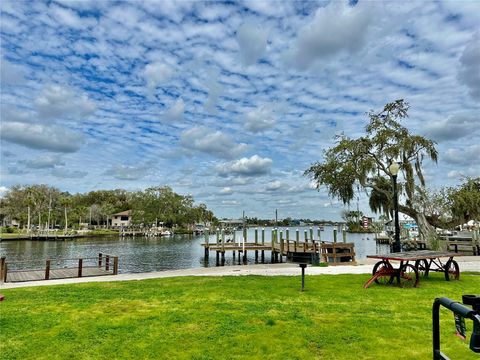 A home in HOMOSASSA