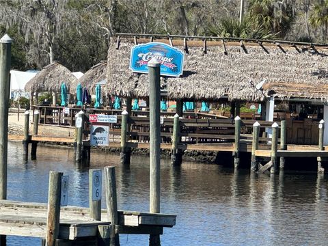 A home in HOMOSASSA