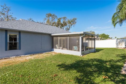 A home in RIVERVIEW