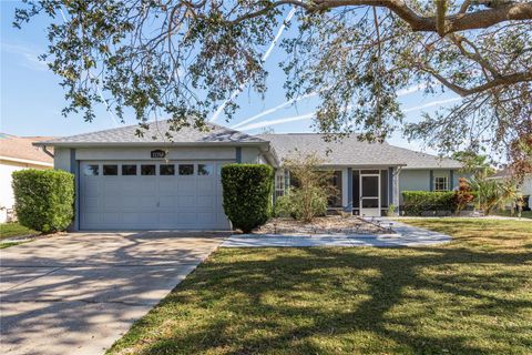 A home in RIVERVIEW