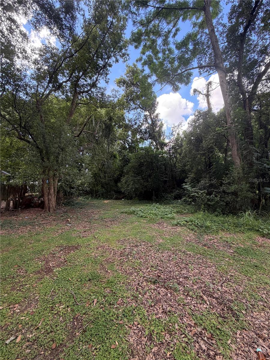 Photo of N Rhodes Street, Mount Dora, FL 32757 (MLS # O6444105)