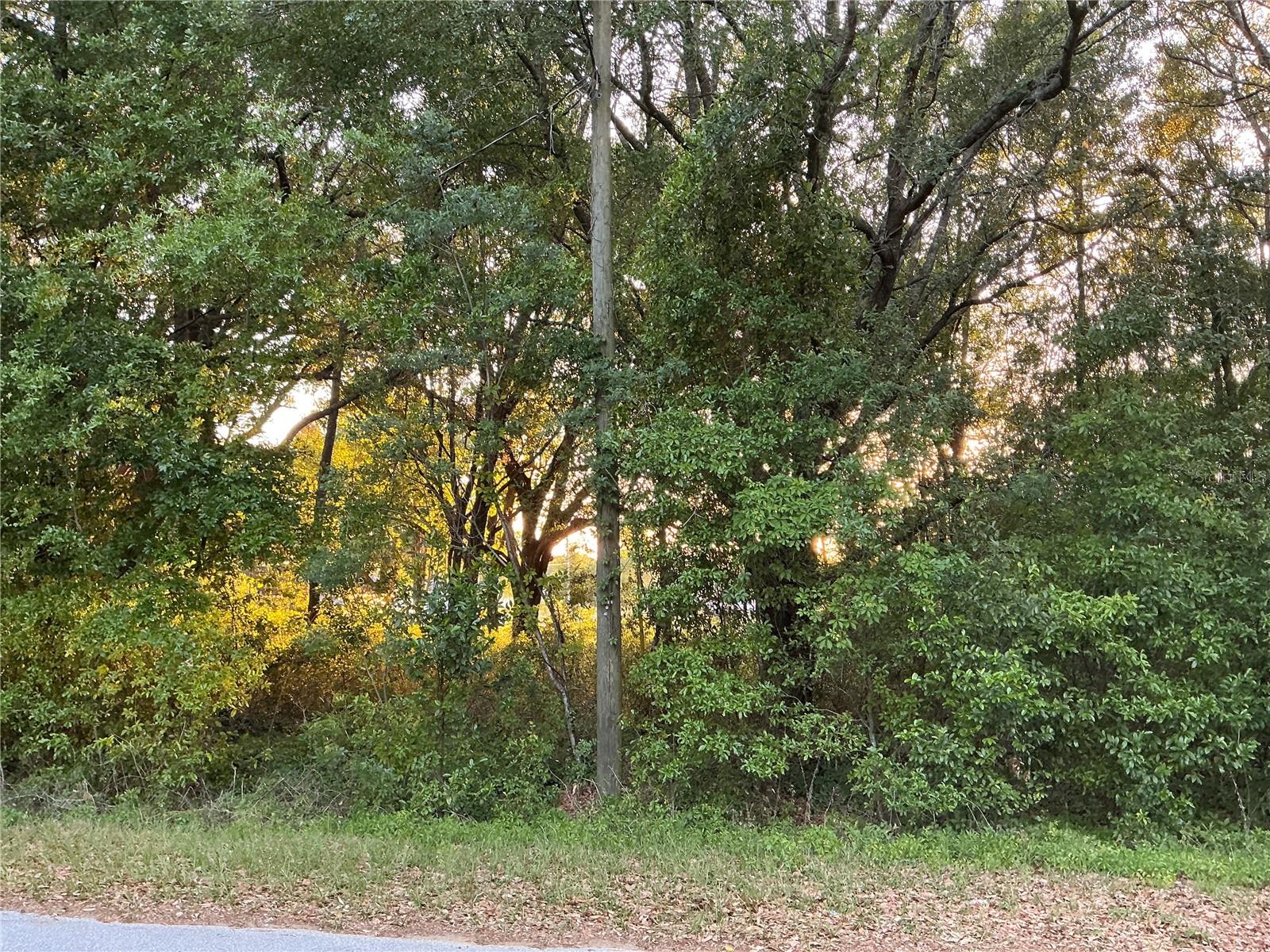 0 PINE TRACE COURSE