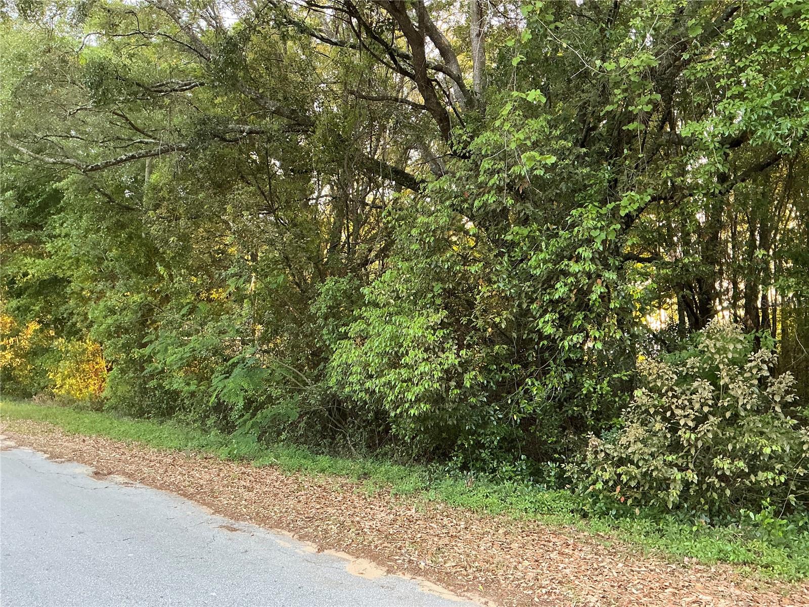 0 PINE TRACE COURSE