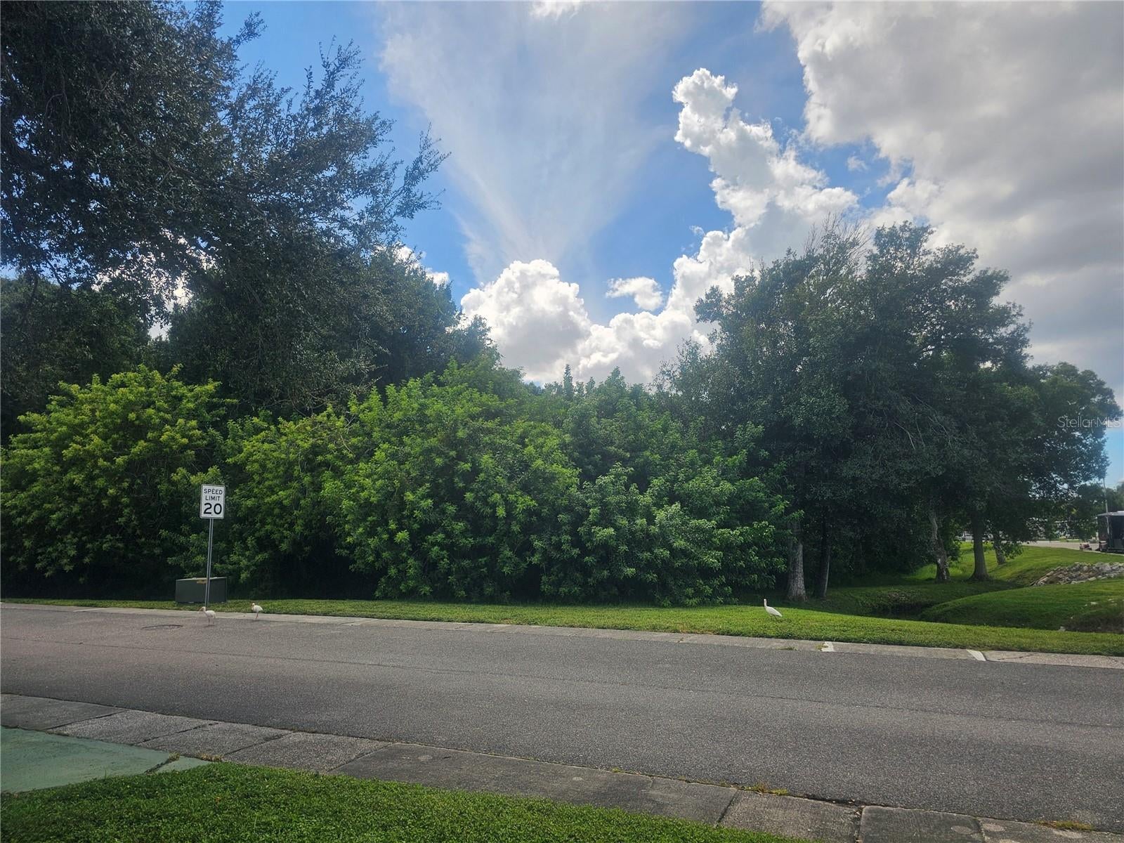 225 TARPON LANE