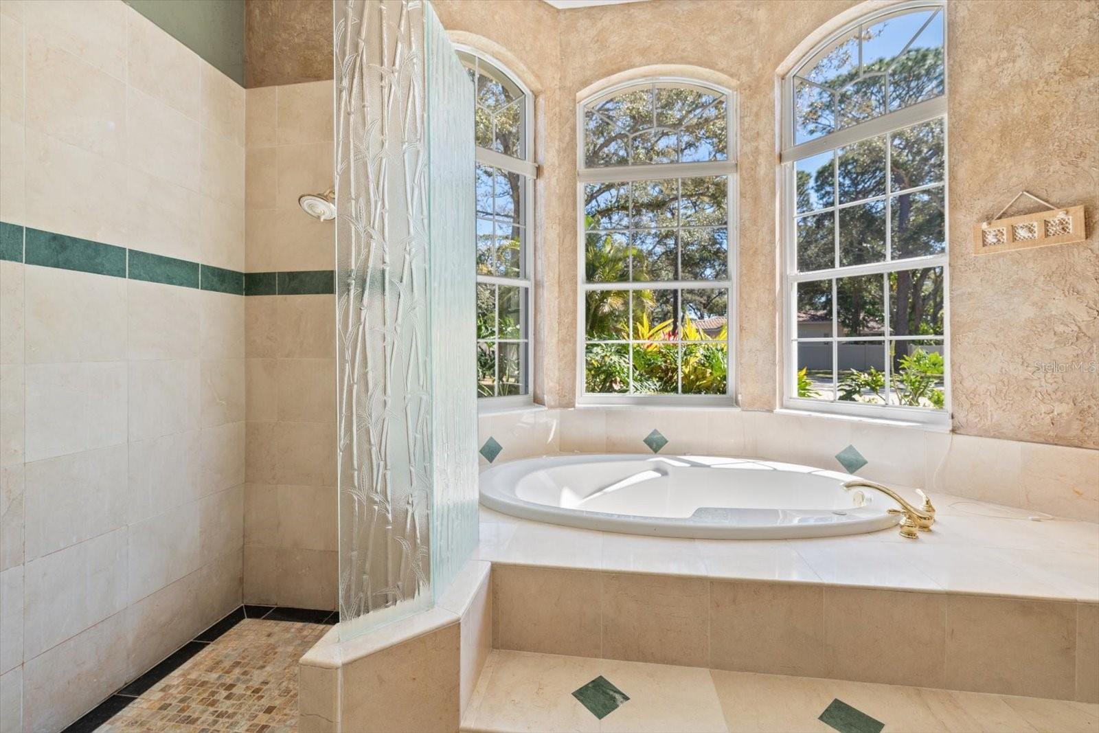 PINELLAS GROVES - Residential