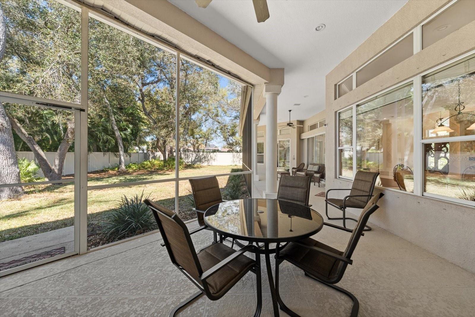 PINELLAS GROVES - Residential