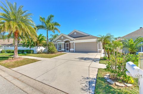 Photo of 13326 Evening Sunset Lane, Riverview, FL 33579 (MLS # TB8446107)