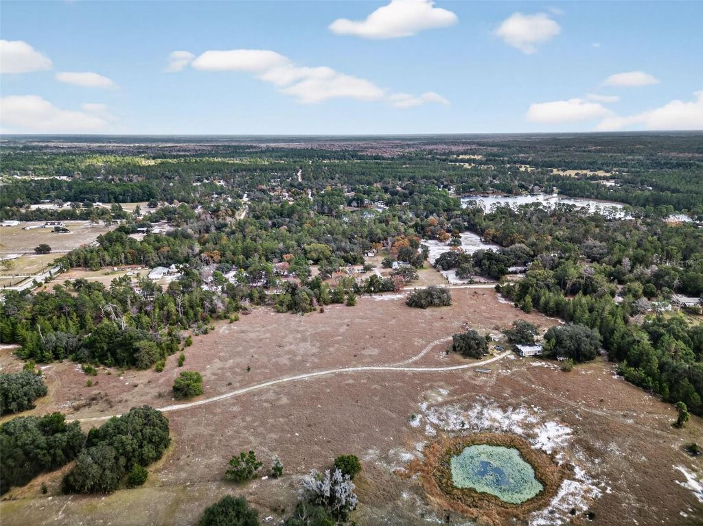 Photo of 41901 Pine Valley Drive, Paisley, FL 32767 (MLS # A4678312)