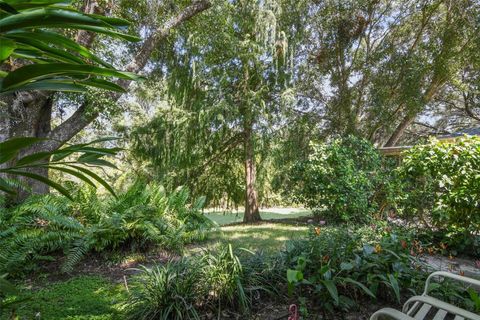 A home in MOUNT DORA