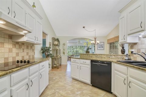 A home in MOUNT DORA