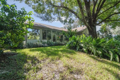 A home in MOUNT DORA