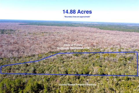 TBD NE 170TH AVENUE ROAD FORT MC COY FL 32134