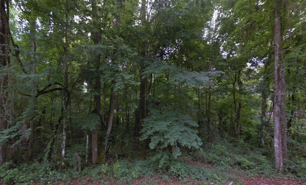 Photo of SE 42nd Court, Belleview, FL 34420 (MLS # TB8532857)