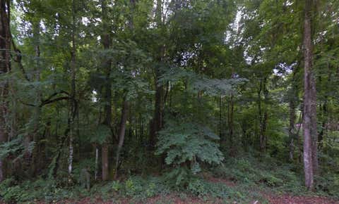 Photo of SE 42nd Court, Belleview, FL 34420 (MLS # TB8532857)