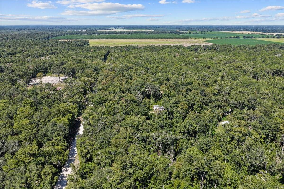 RIVERS ESTATE - Residential