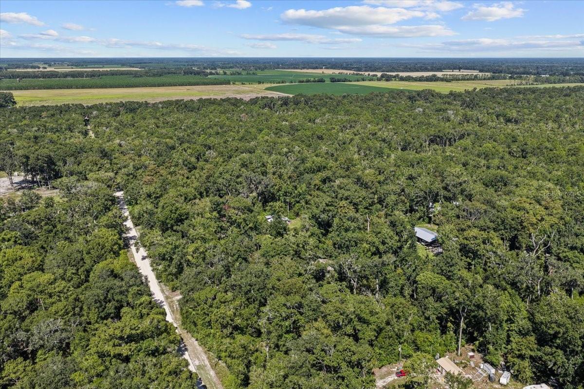 RIVERS ESTATE - Residential