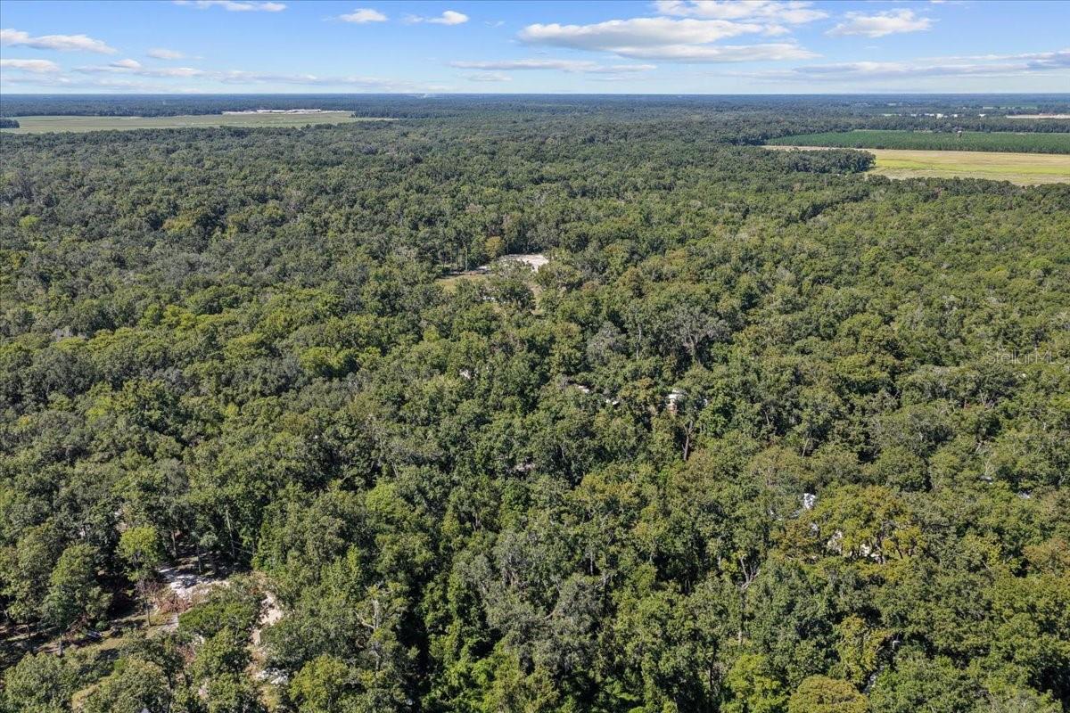 RIVERS ESTATE - Residential