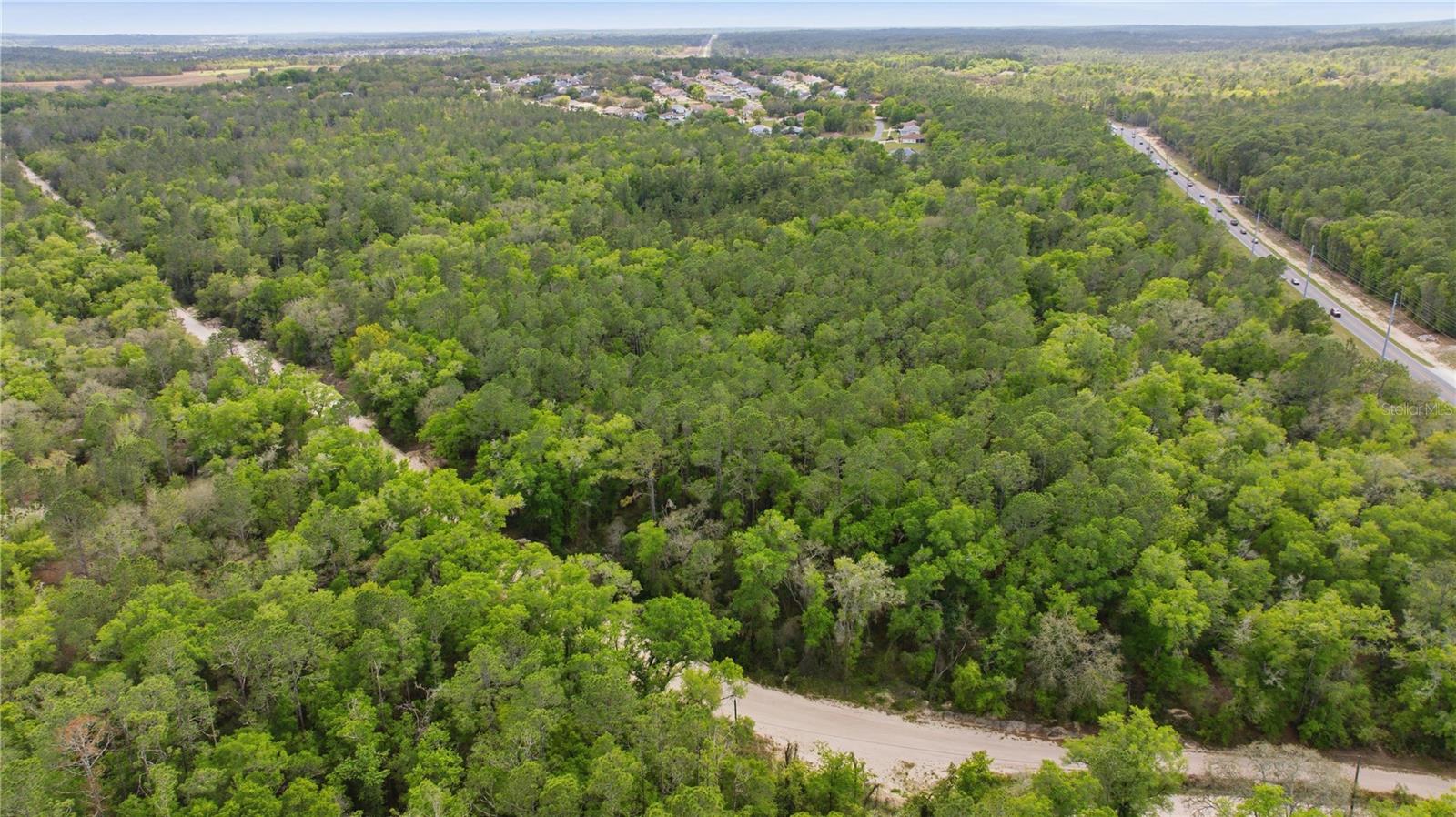 6630 N TREEFARM AVENUE