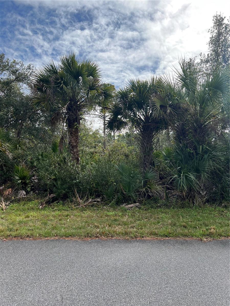 14059 HUGHES AVENUE - Photo 4