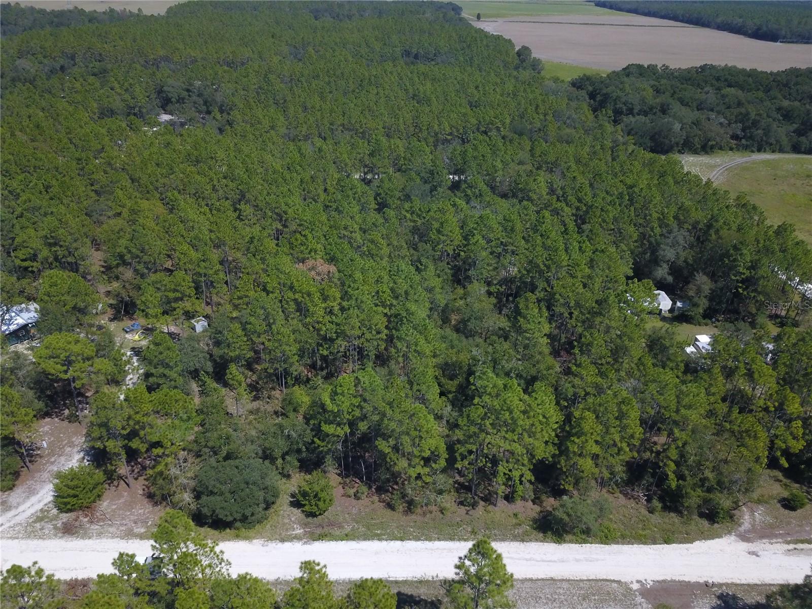 SUWANNEE RIVER ESTATES SOUTH - Land
