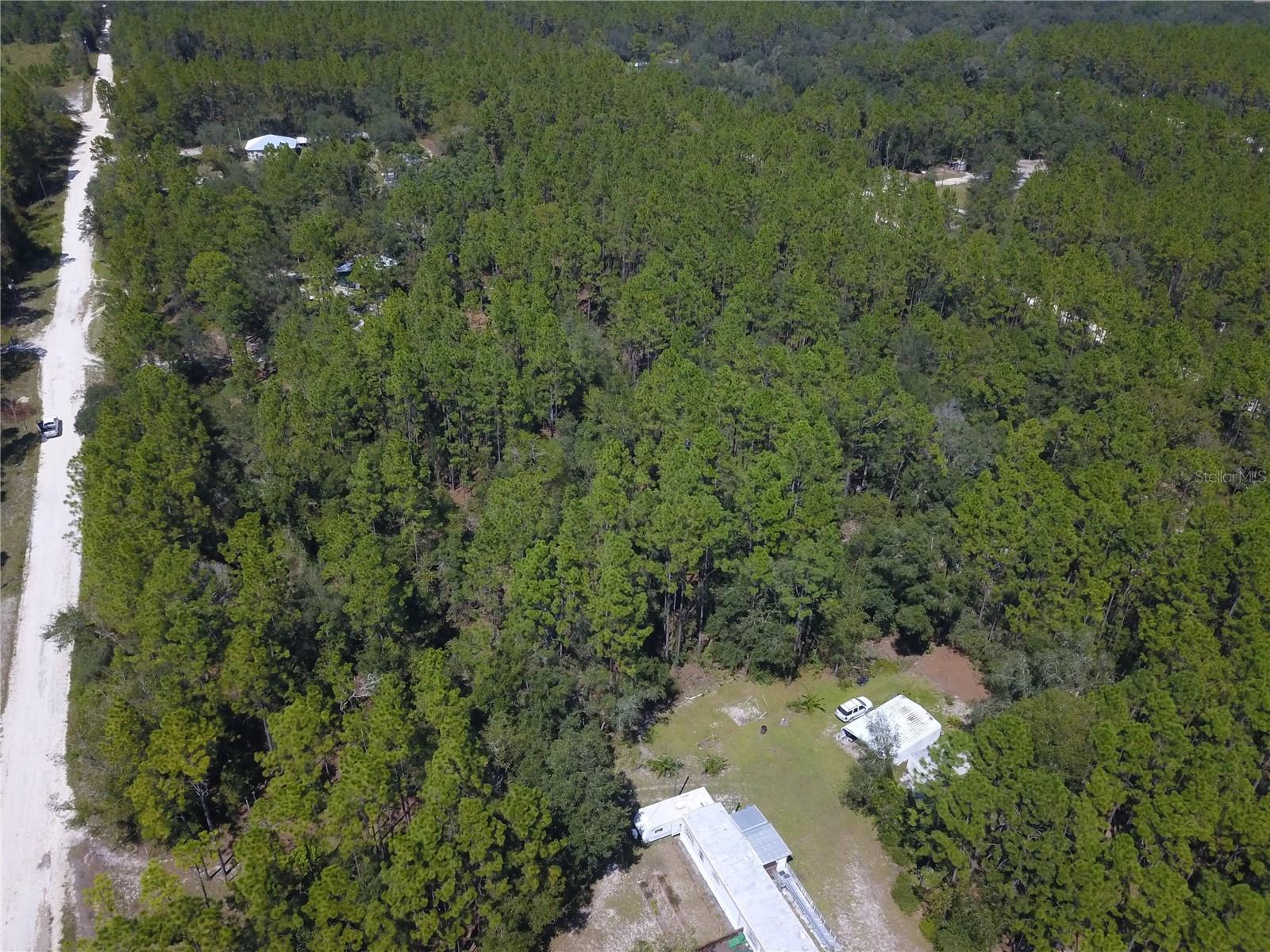 SUWANNEE RIVER ESTATES SOUTH - Land