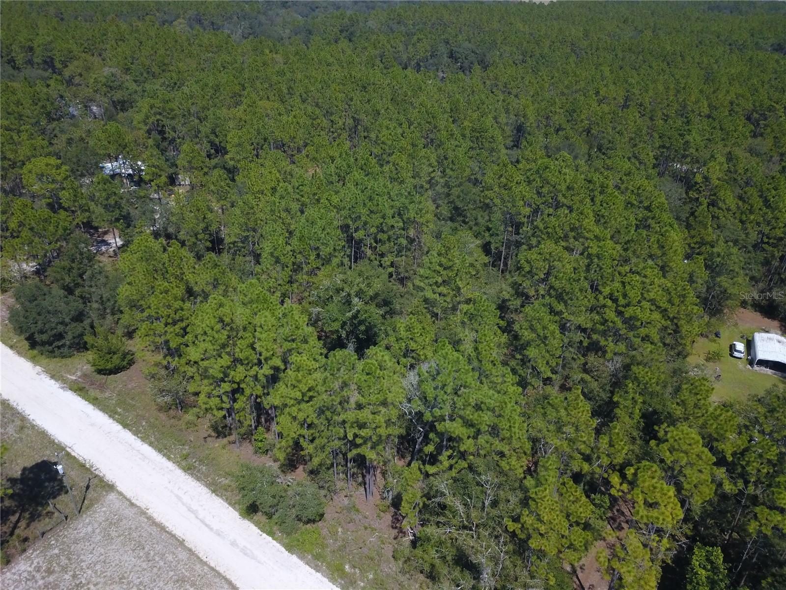 SUWANNEE RIVER ESTATES SOUTH - Land