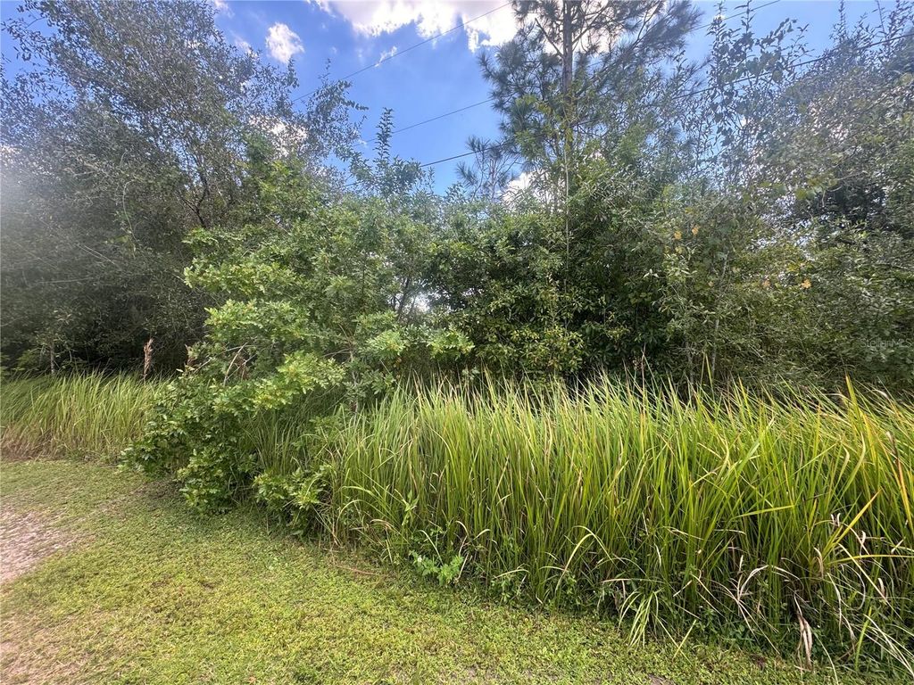 Photo of 8177 SW Merry Drive, Arcadia, FL 34269 (MLS # A4668926)