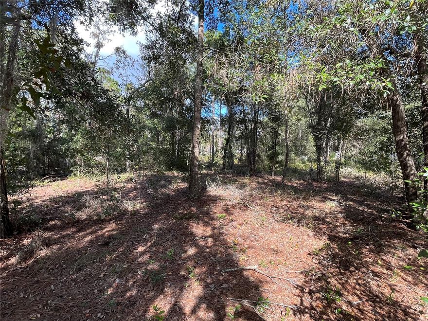 Don't Miss out on this High and dry OVERSIZED 0.59 ACRE CORNER LOT. Looking to purchase your dream property in Florida, look no further. This lot is listed below market value! Buying Land in Florida is a solid investment for your future, build your dream home, vacation home, rental investment or let the land build value as a great long-term investment to resell for a future profit. Owner Financing Available