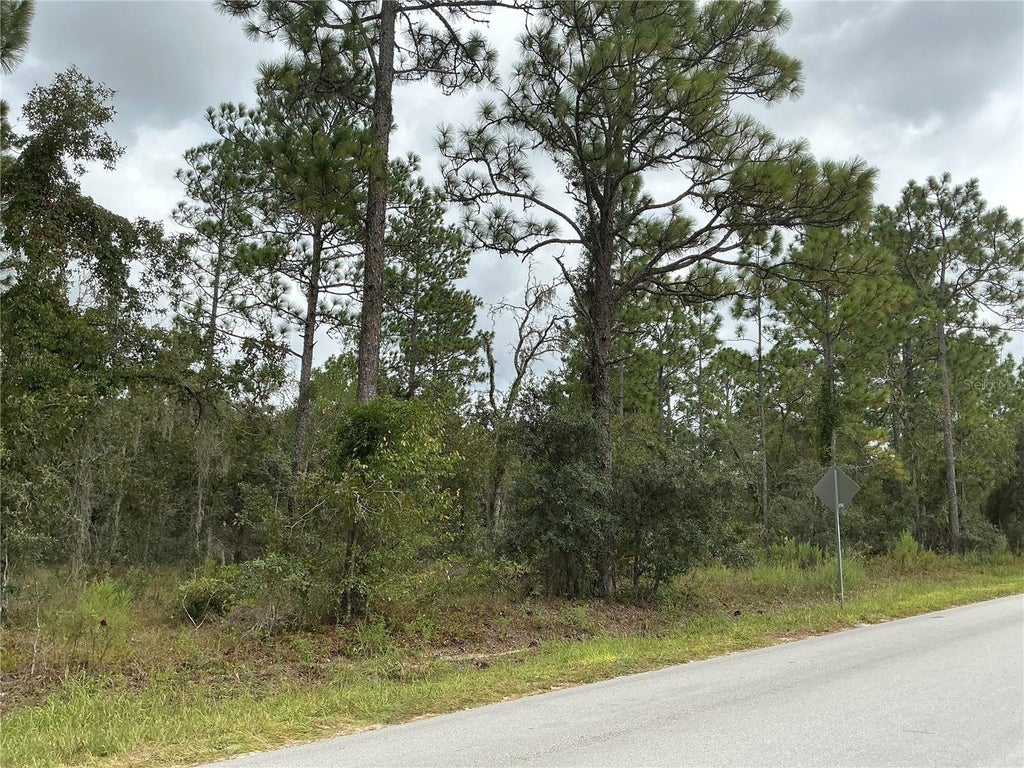 Photo of SW 85th Place, Ocala, FL 34473 (MLS # OM734617)
