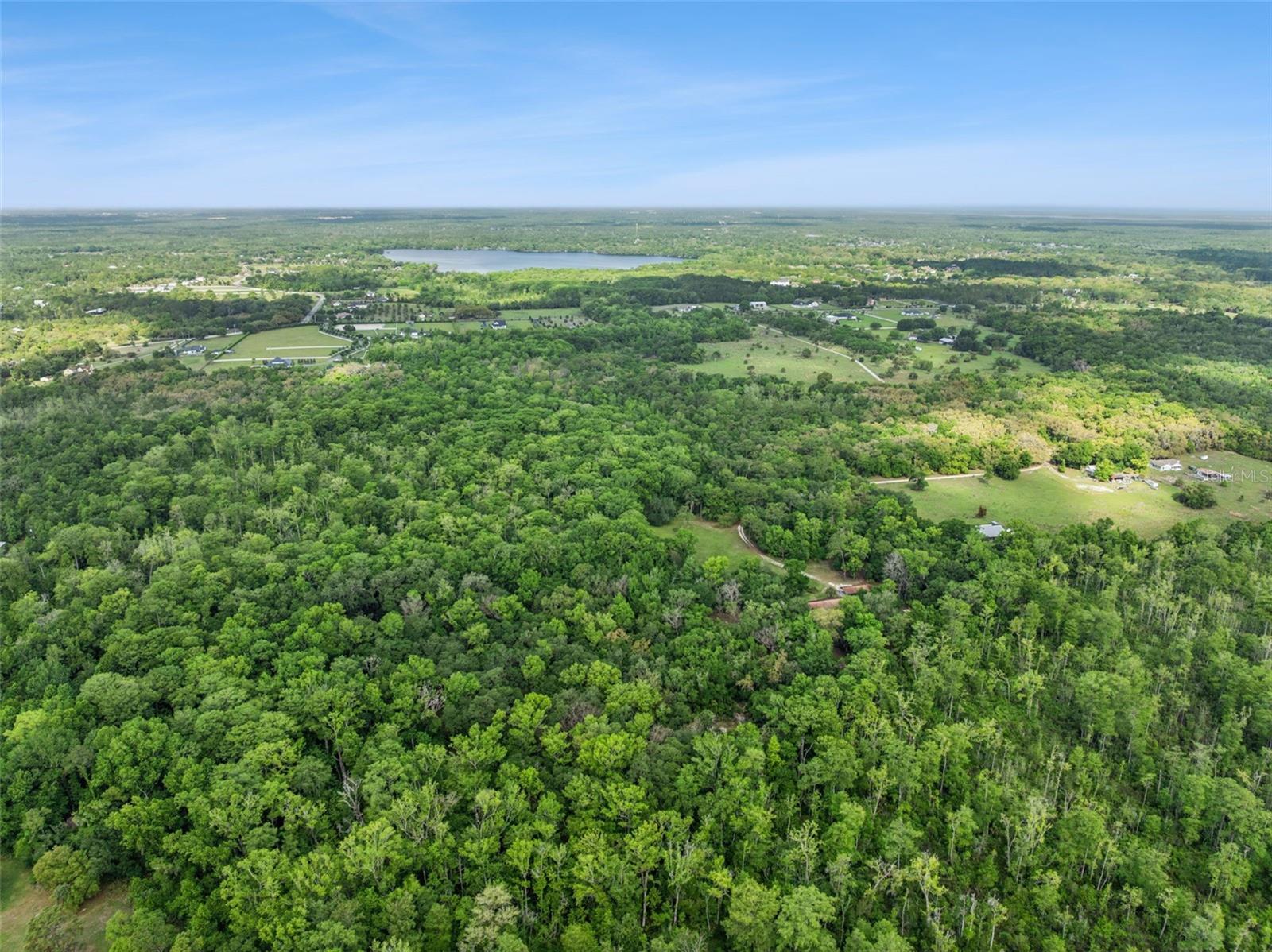 CURRYVILLE ESTATES 5 ACRE DEV 20 PARCELS - Residential