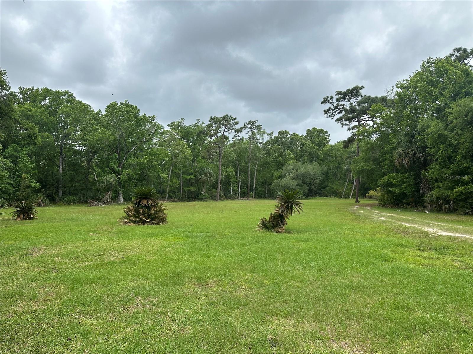 CURRYVILLE ESTATES 5 ACRE DEV 20 PARCELS - Residential