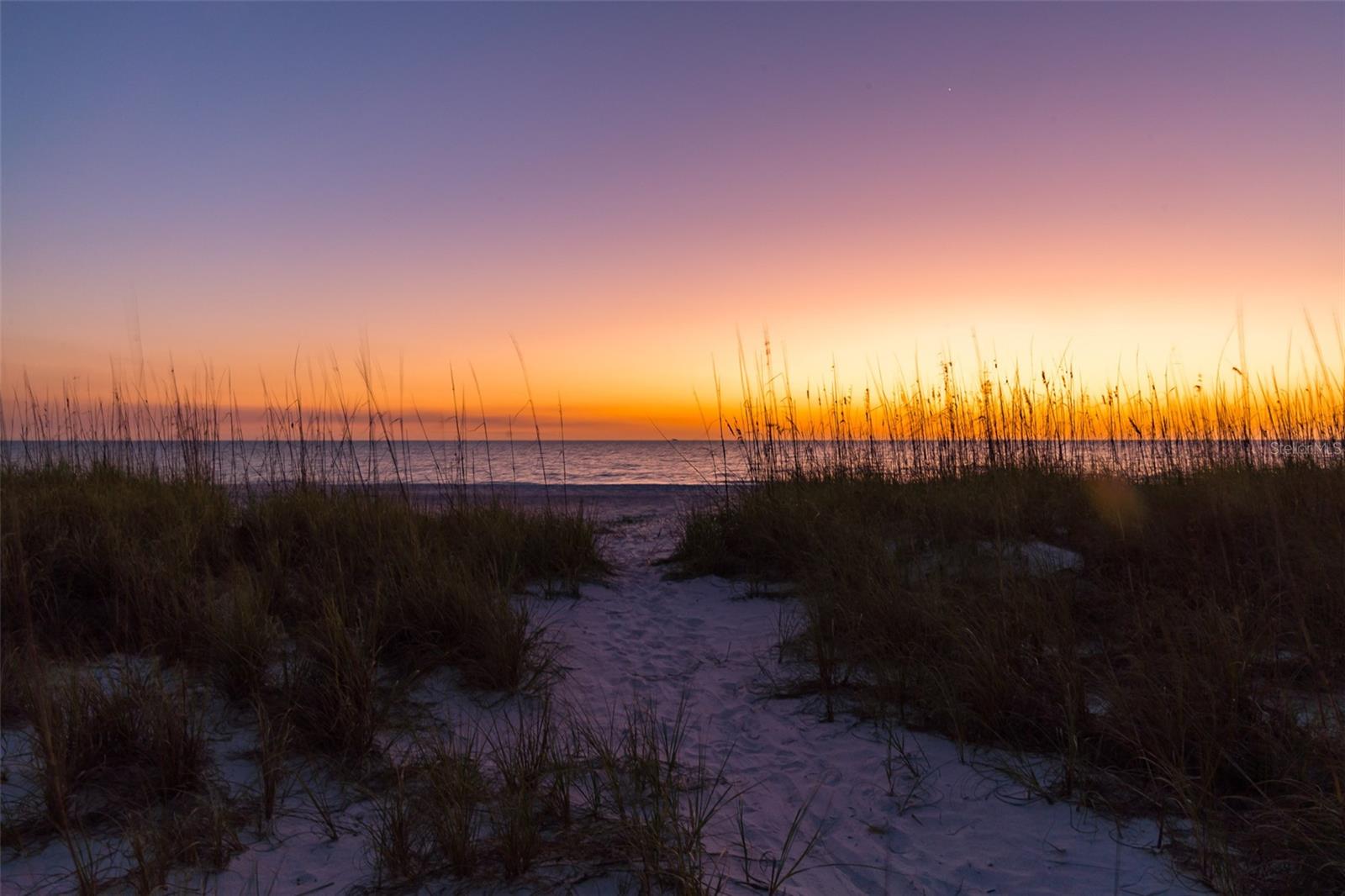 WELLS TERRACE - Residential