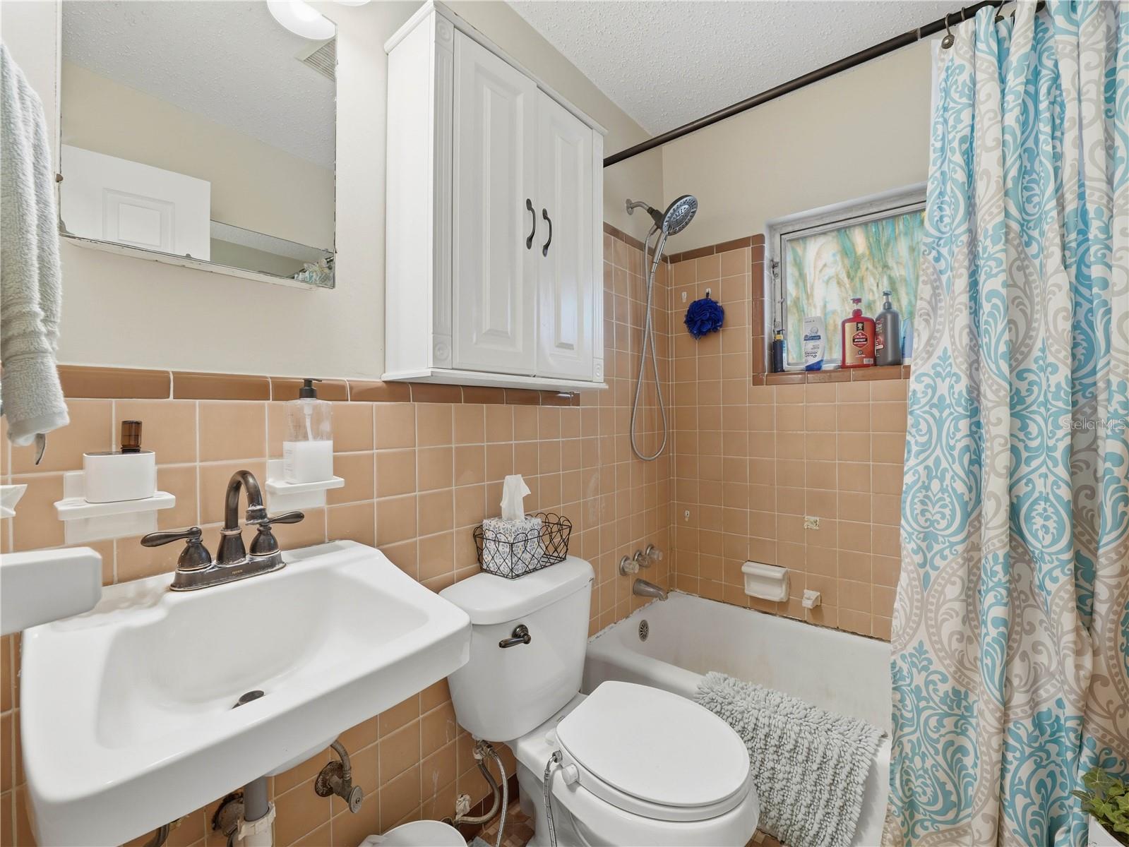 DRUID HILLS - Residential